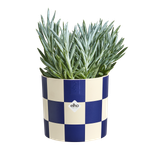 blocks & stripes 15cm royal blue